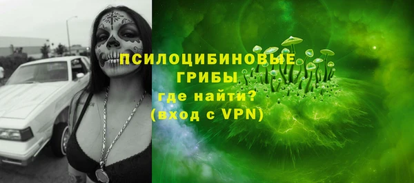 ПСИЛОЦИБИНОВЫЕ ГРИБЫ Богородск
