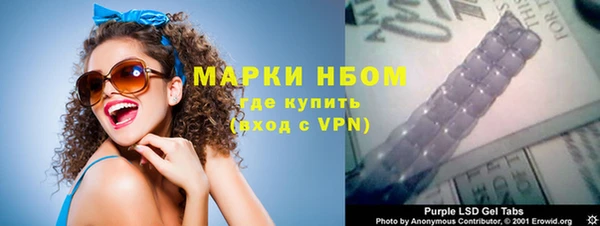 дмт Богородицк