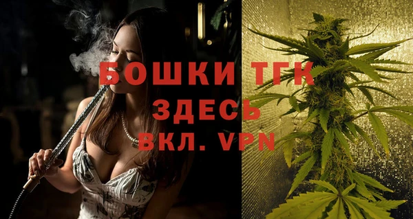 дмт Богородицк