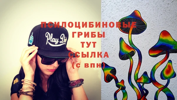 дмт Богородицк
