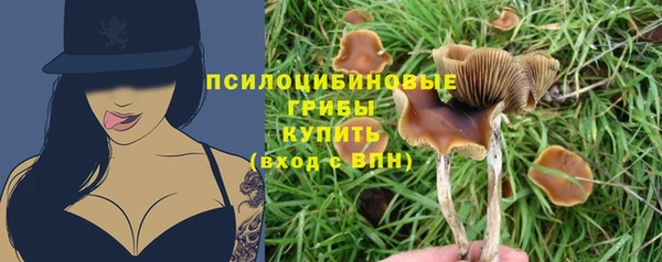 ПСИЛОЦИБИНОВЫЕ ГРИБЫ Богородск