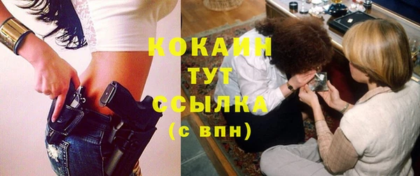 дмт Богородицк
