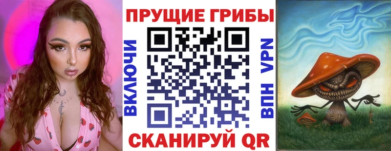 закладки Котельники Галлюциногенные грибы мицелий