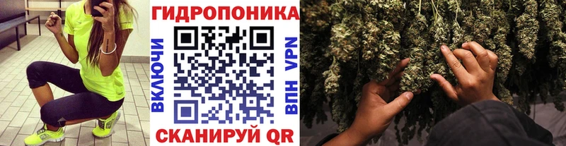 даркнет сайт  hydra ТОР  Шишки марихуана семена  Котельники 